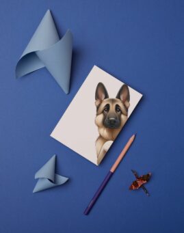 Pas bookmarker ()