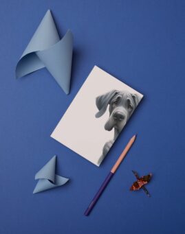 Pas bookmarker ()