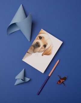 Pas bookmarker ()