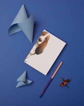 Pas bookmarker ()
