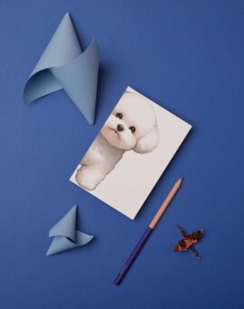 Pas bookmarker ()